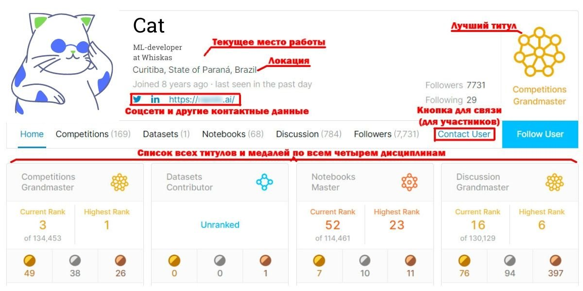 Как искать Data Science-специалистов на Kaggle