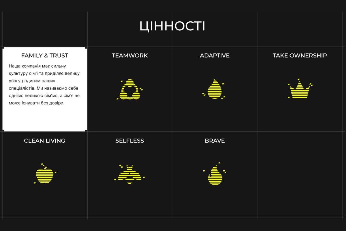 Цінності компаній: приклади на українському та закордонному ринках